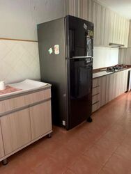 Blk 101 Bishan View (Bishan), HDB 5 Rooms #521203241